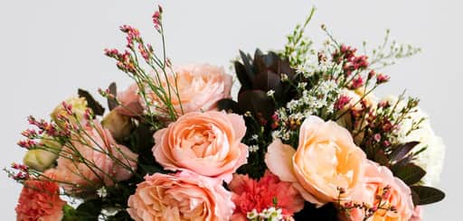 Çiçekler