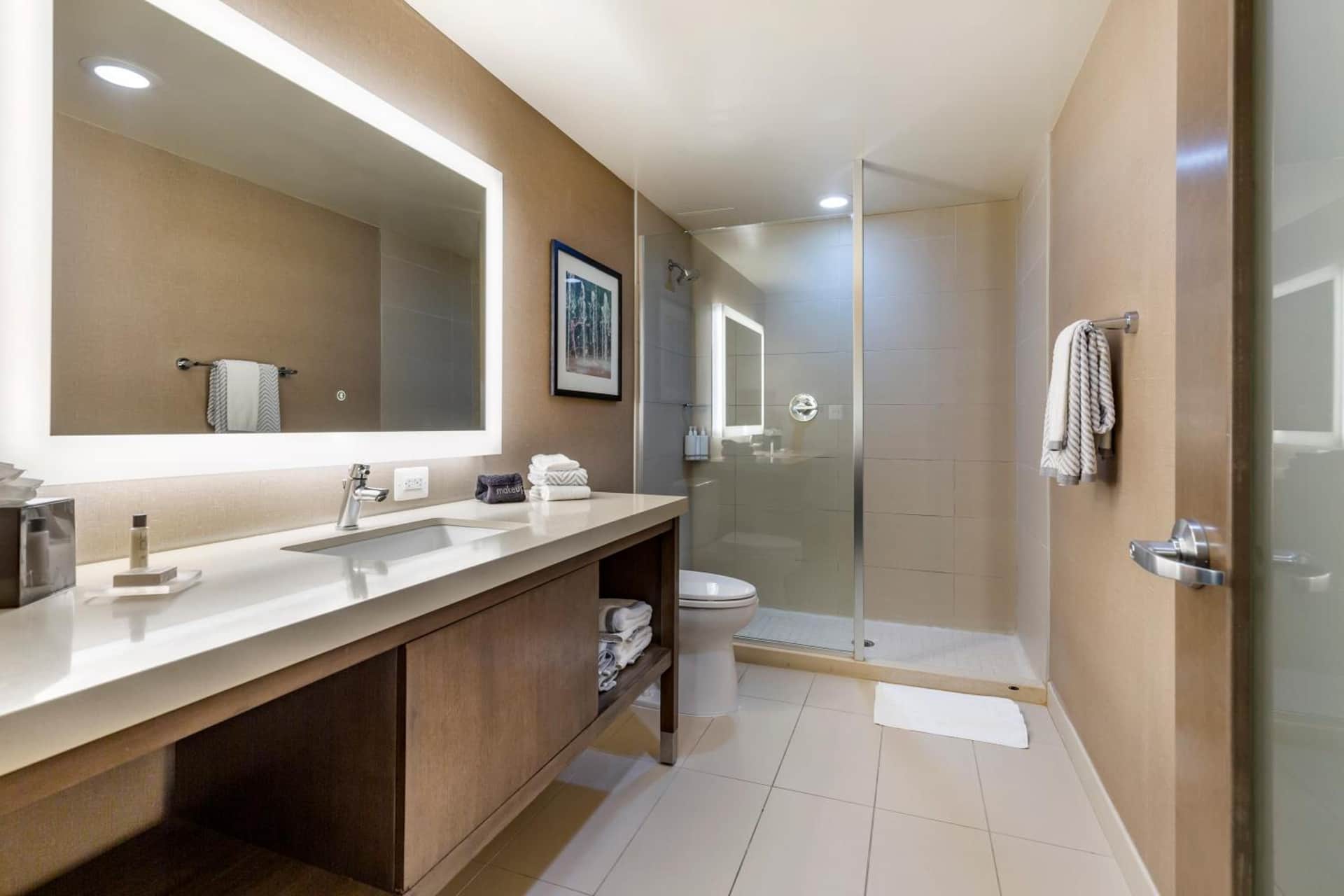 Cambria Hotel Rockville