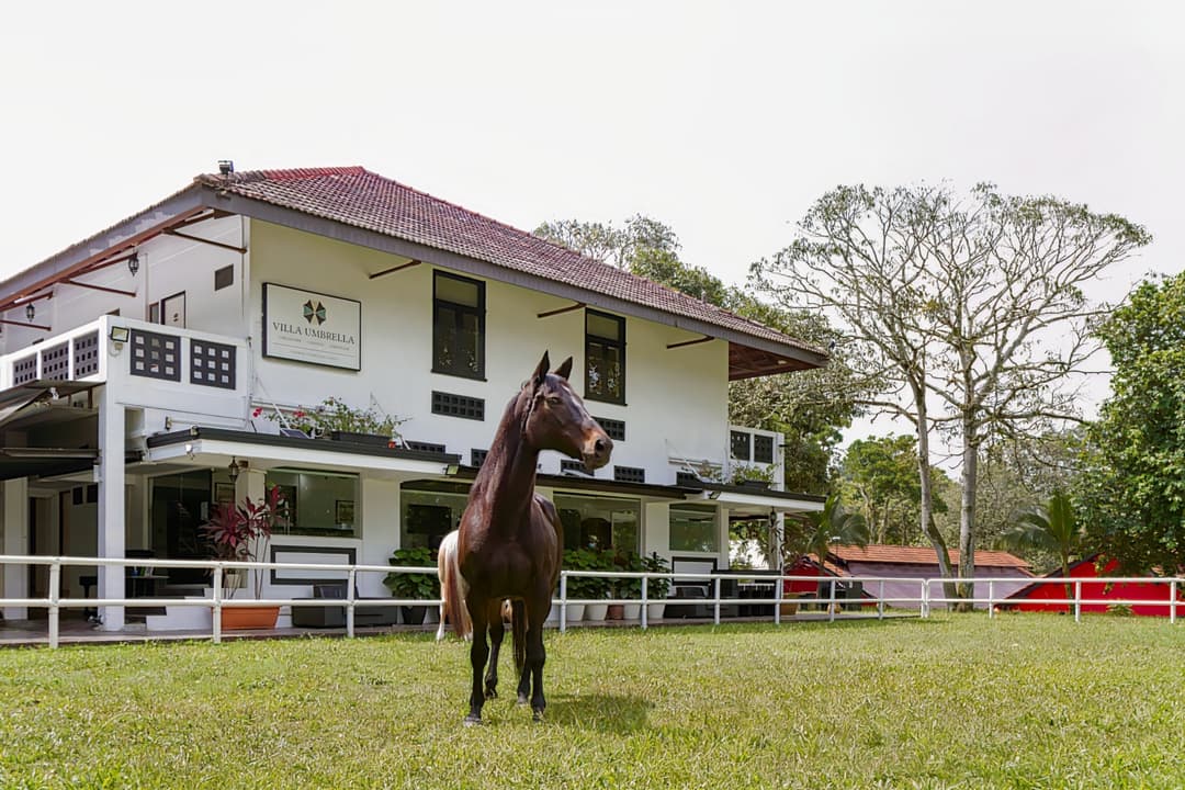 Villa Umbrella Singapore
