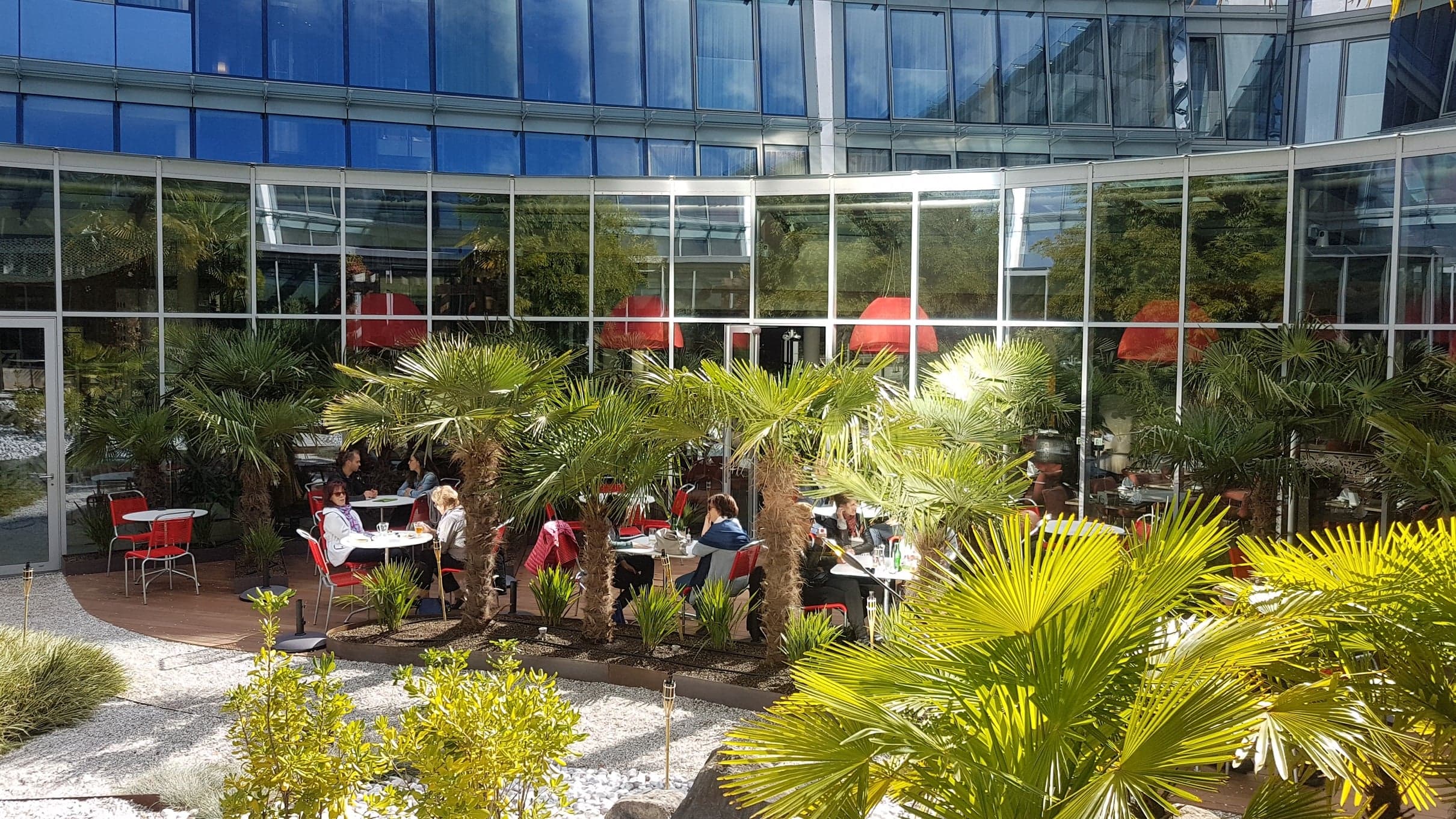 Alpha Palmiers by Fassbind