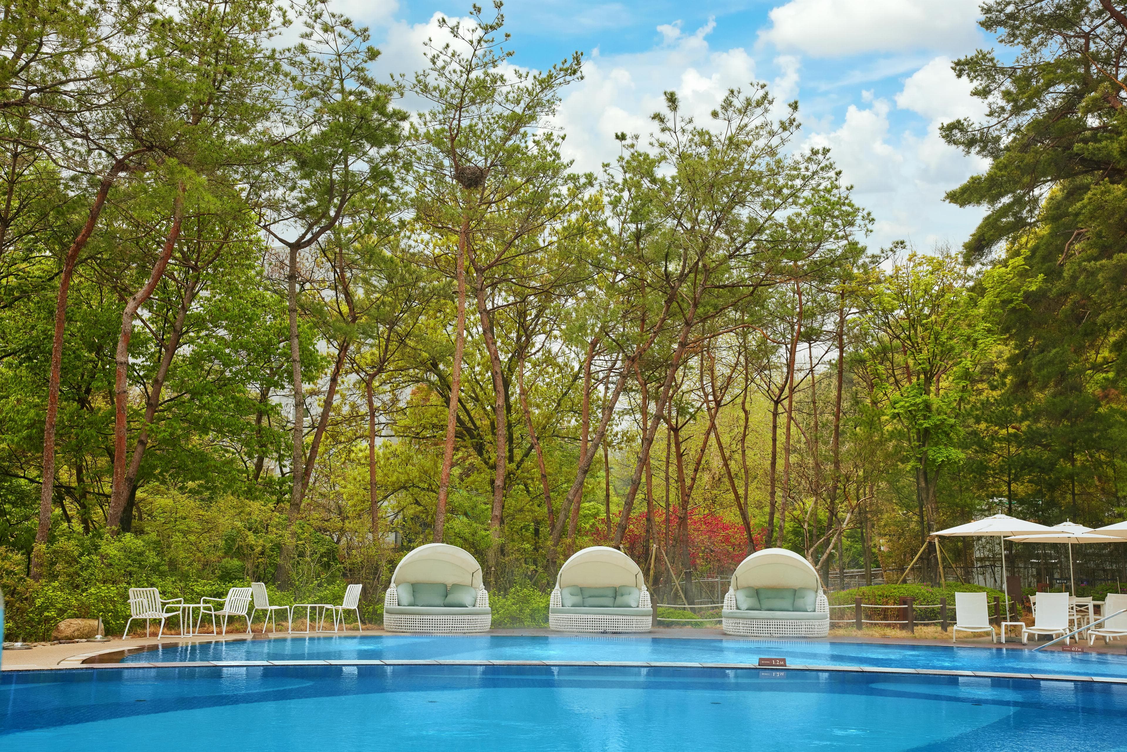 Paraspara Seoul 파라스파라 서울